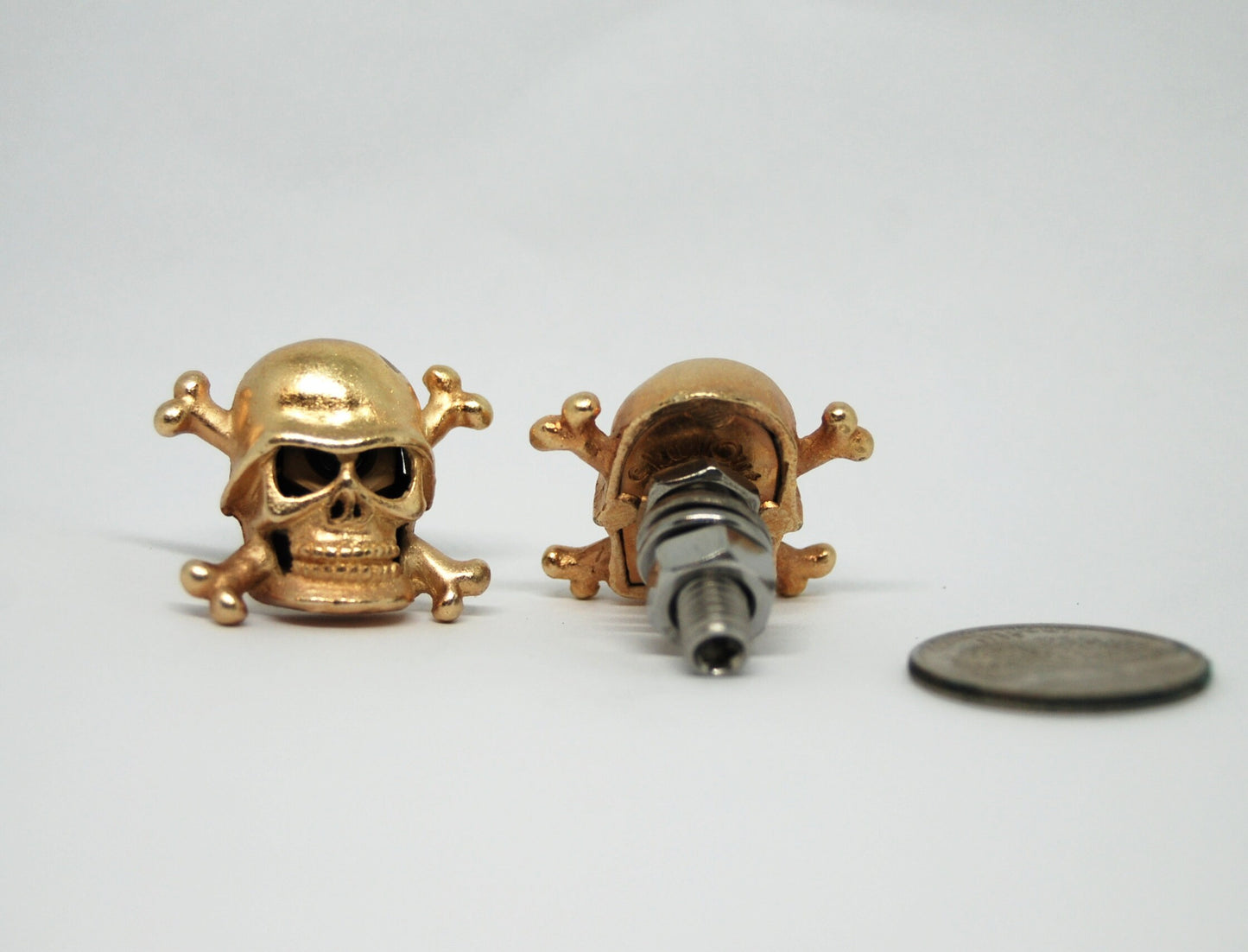 Crossbones Skull Motorcycle License Plate Bolts, Biker gift