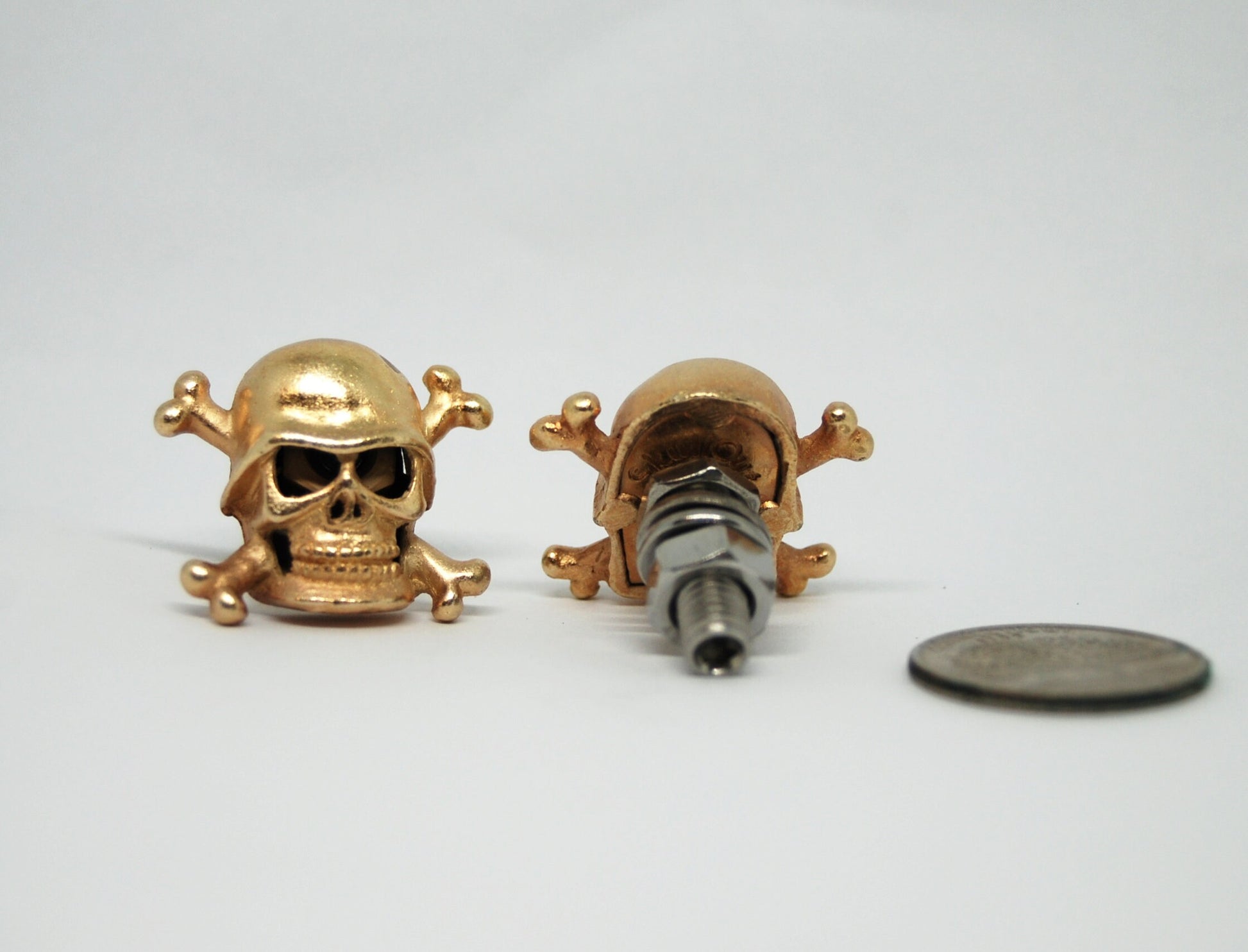 Crossbones Skull Motorcycle License Plate Bolts, Biker gift