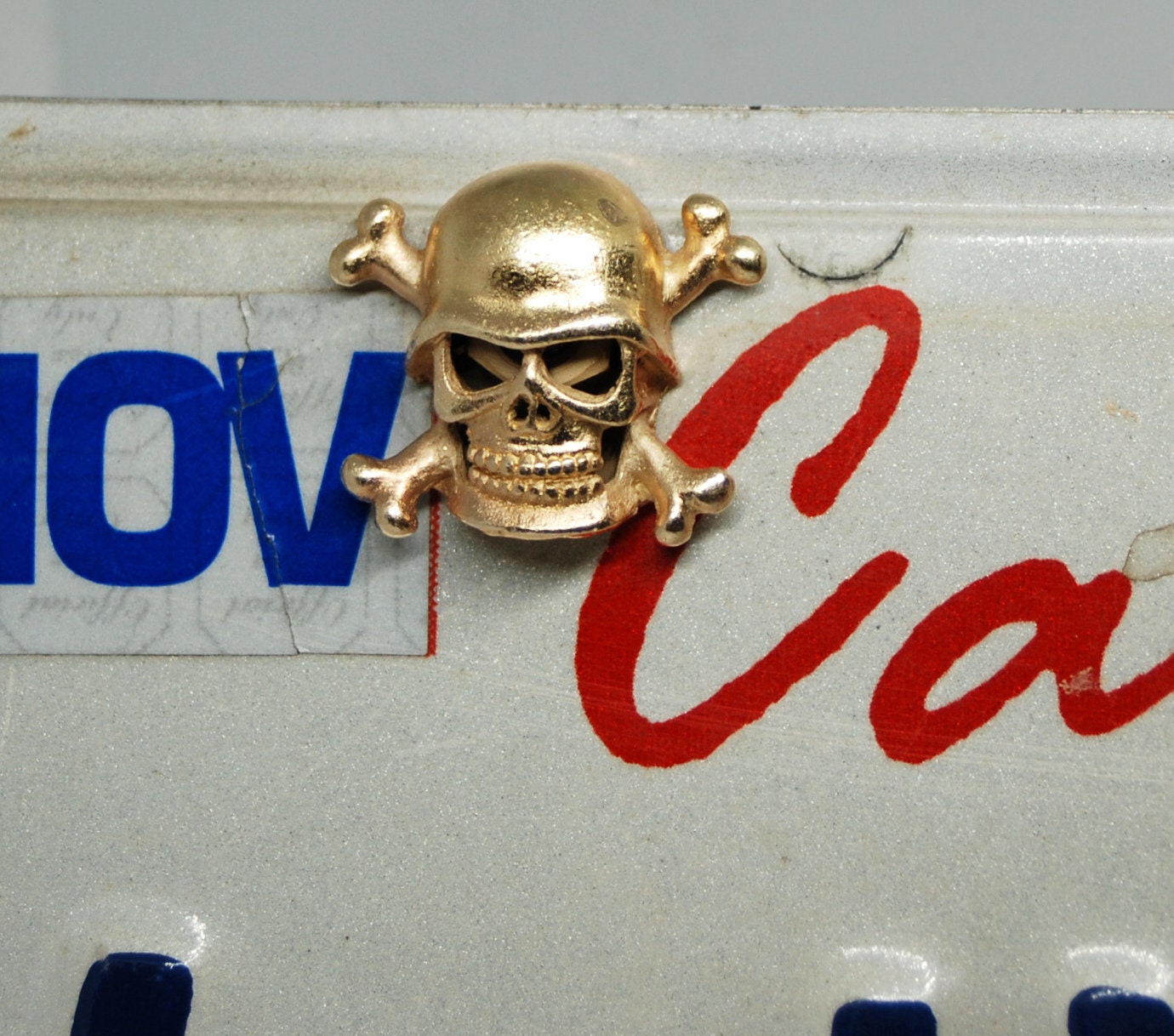 Crossbones Skull Motorcycle License Plate Bolts, Biker gift