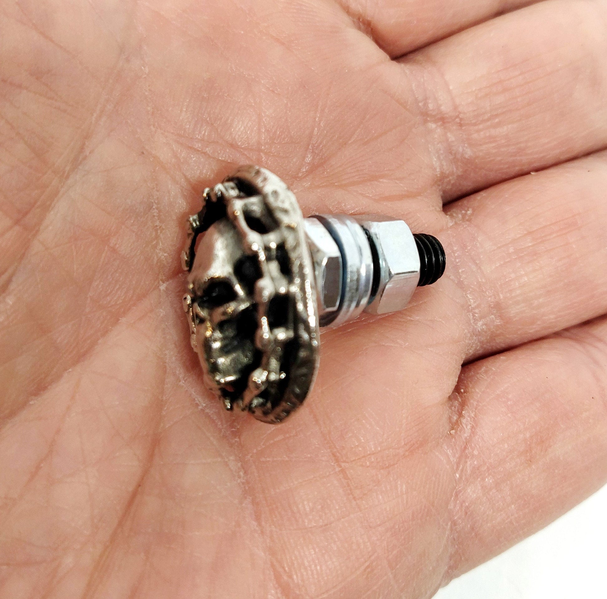 2 metal License plate custom bolts,skulls,Punisher,motorcycle,chain,screw,windshield screw,gift,chopper,biker,badass,