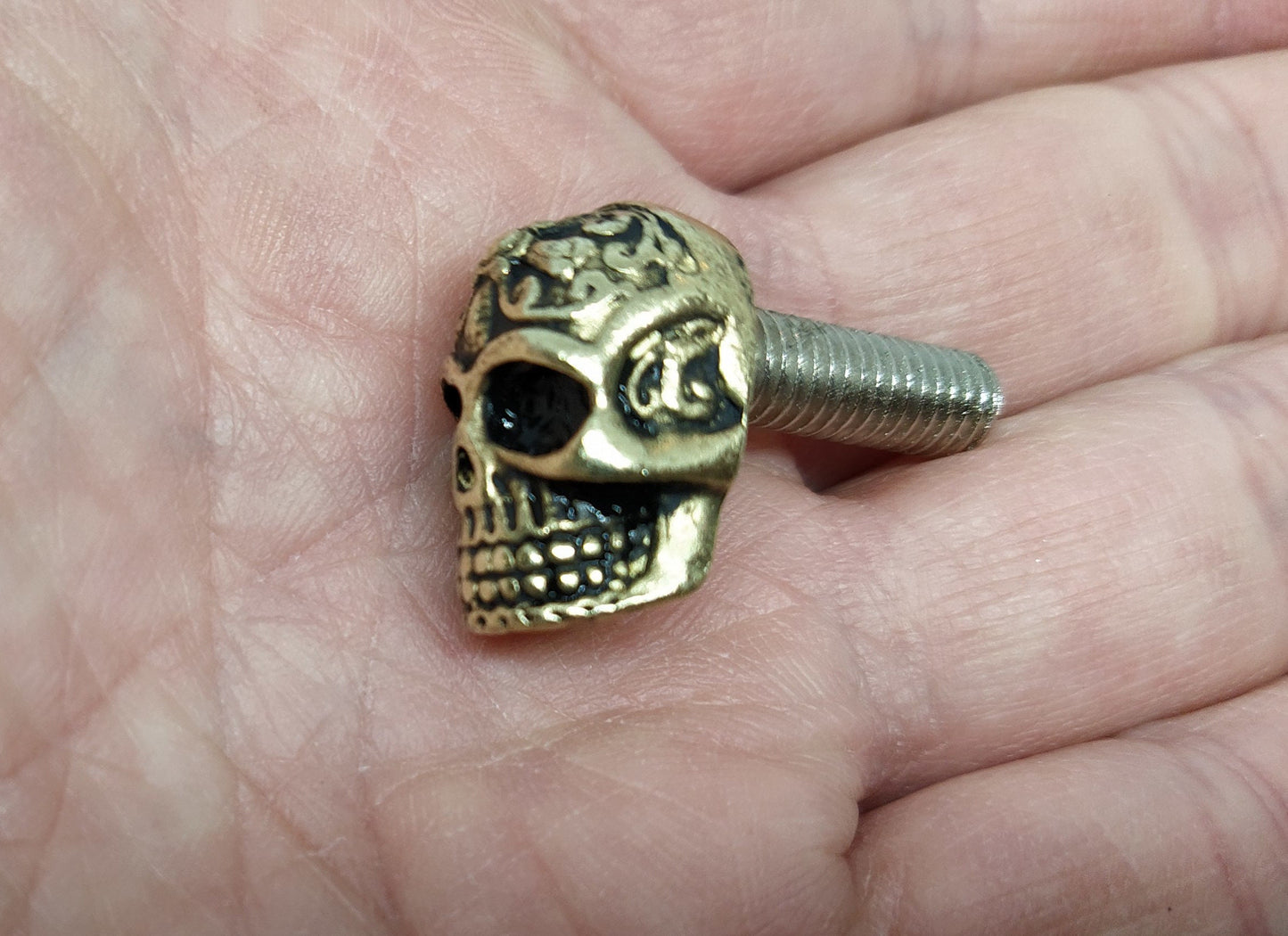 Gold Sugar Skull License Plate Bolts: Tribal Aztec Biker Motorcycle Screws