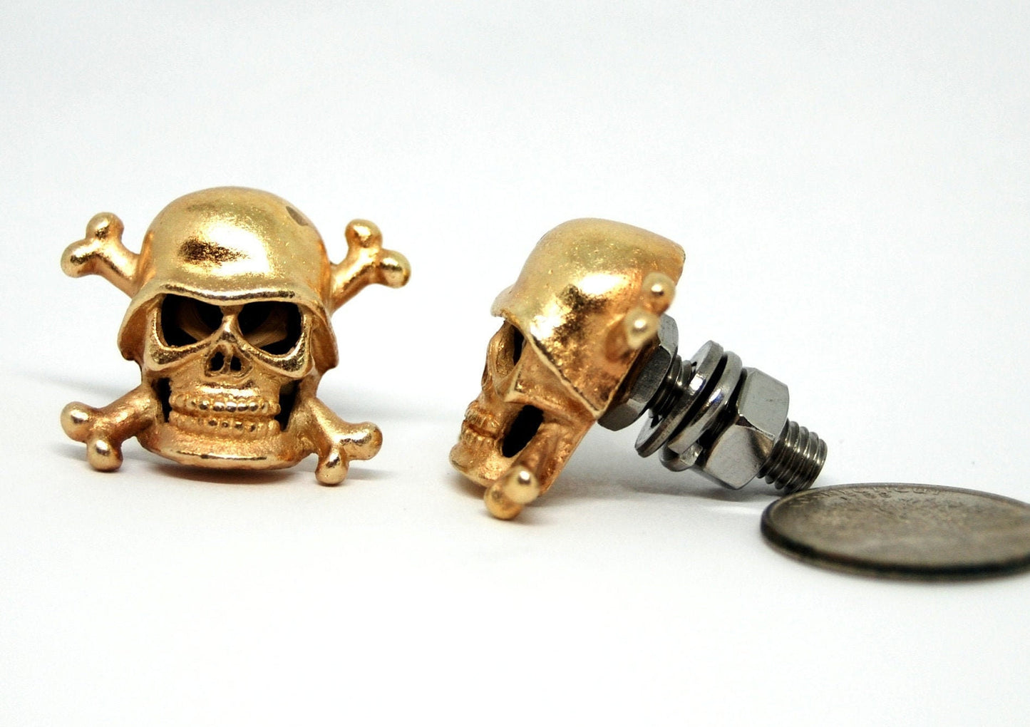 Crossbones Skull Motorcycle License Plate Bolts, Biker gift