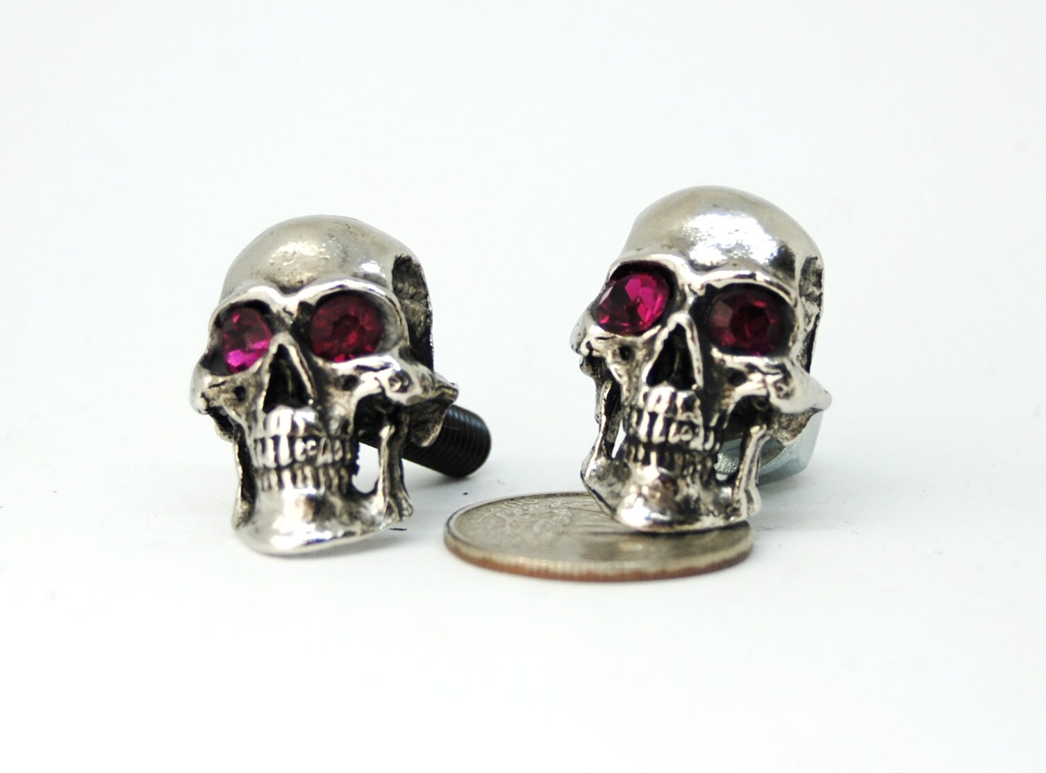 motorcycle License plate custom bolts,pink eyes skull screws,biker gift,badass,hatley davidson for most motorcycles