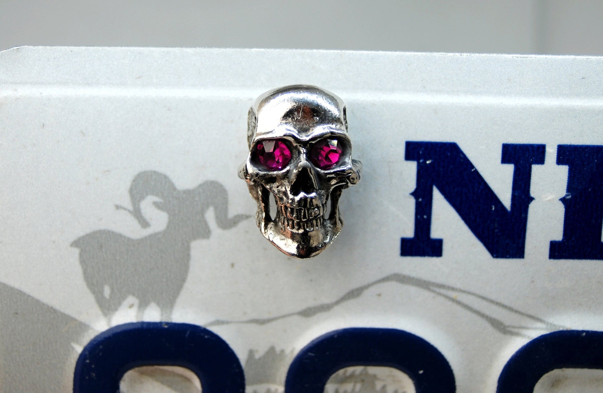 motorcycle License plate custom bolts,pink eyes skull screws,biker gift,badass,hatley davidson for most motorcycles