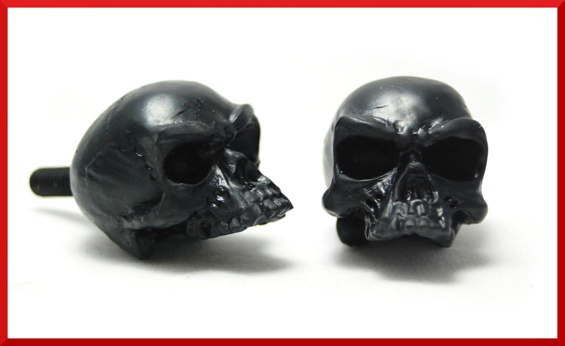 Skull license plate bolts. Number tag screw for all motorcycles Harley Davidson,Yamaha,Suzuki,Kawasaki,honda,ktm,ducati,skeleton