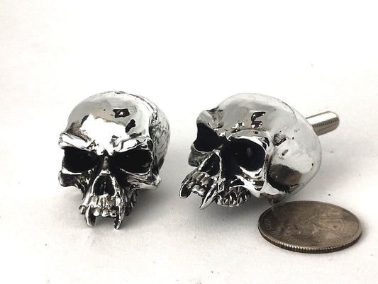 chrome skull bolts screws number plate